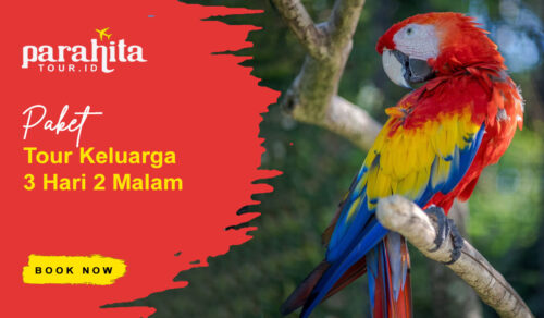 Paket Keluarga 3 Hari 2 Malam