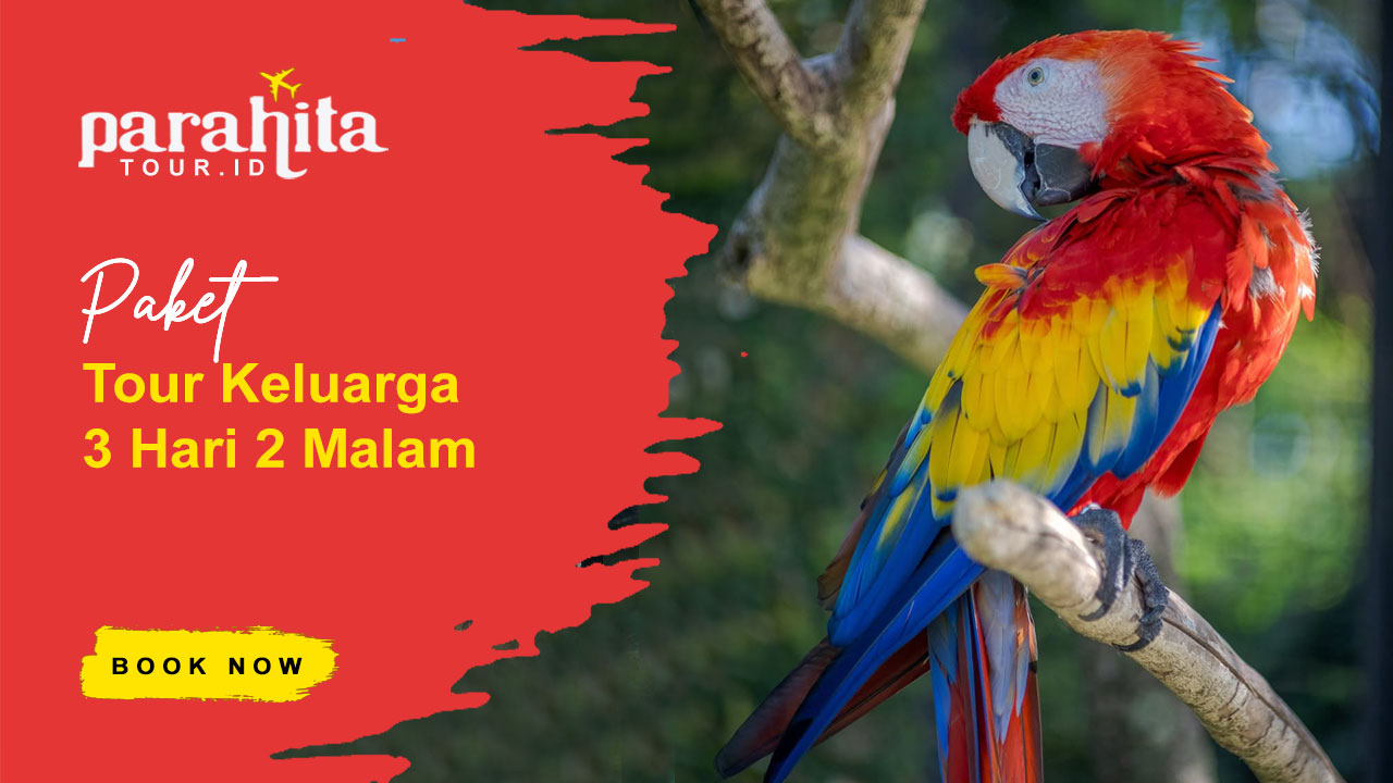 Paket Keluarga 3 Hari 2 Malam