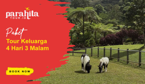 Paket Keluarga 4 Hari 3 Malam