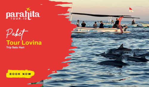 Paket Tour Lovina