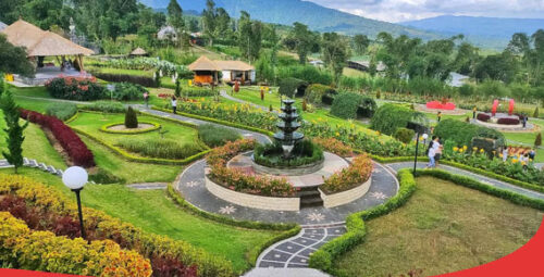 The Blooms Garden